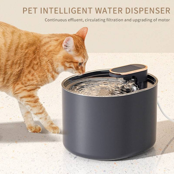 Pet Water Dispenser